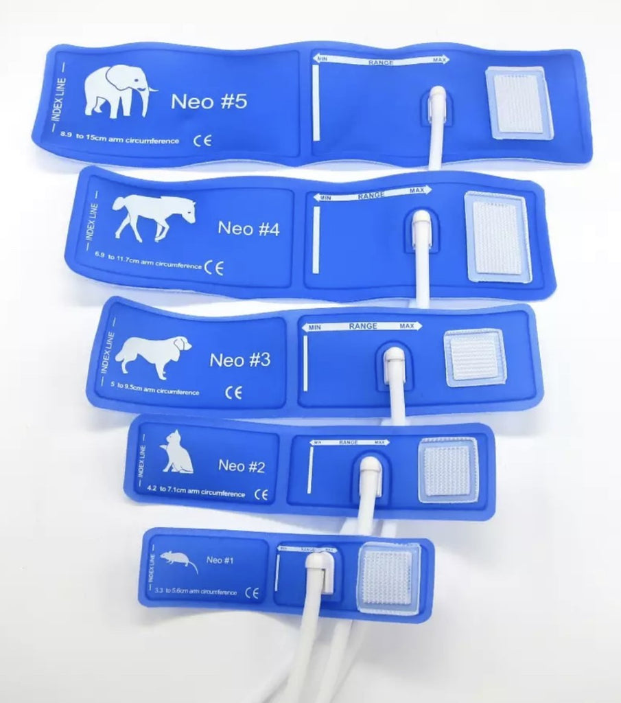 https://www.junarqualityveterinaryequipment.com/cdn/shop/products/JunarCuffs1_1024x1024.jpg?v=1669946389